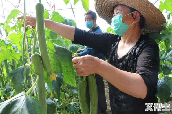 草莓视频在线丝瓜：惊人发现！这款应用竟然让用户意外获取超乎想象的奇特体验！