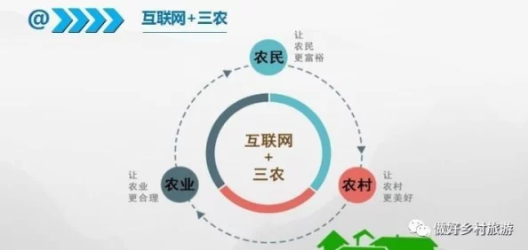 丰年经继拇中文2的创新点：基于多模态学习的智能化农业管理系统研究与应用分析