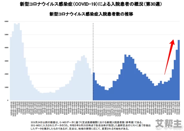 黄色片网站日本：最新动态与用户反馈，探讨其在日本社会中的影响及未来发展趋势