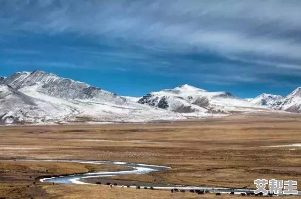 可可西里大但人文艺术：探讨这一地区独特的自然景观与丰富的人文历史如何交融，形成独特的文化表达和艺术创作