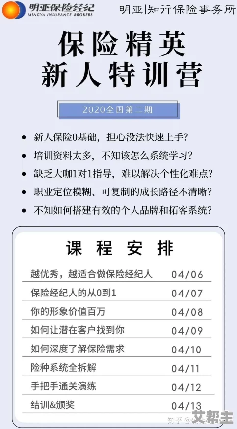 如鸢团队新人特训知识效验答案最新整理与全面汇总解析