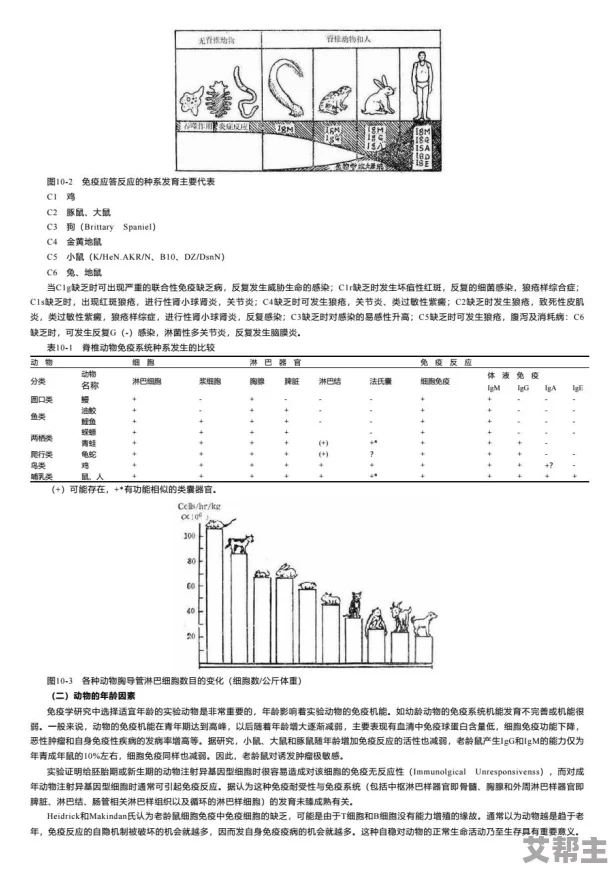 体内精69XXXXX的生物学特性及其在临床应用中的潜力研究：从基础到实践的综合分析