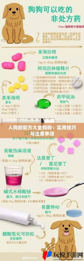 人狗胶配方20种图片，分享多样化的制作方法与实用技巧，让你轻松掌握每一种配方的精髓与特色