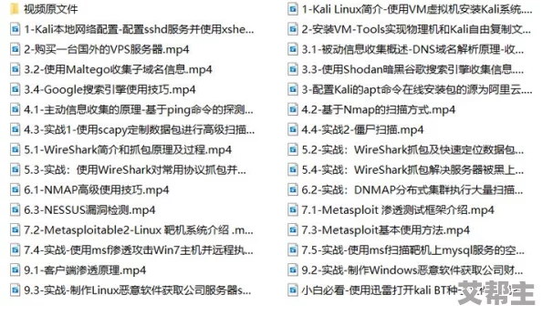 411操逼软件：全面解析其功能、使用方法及安全性评估的详细指南