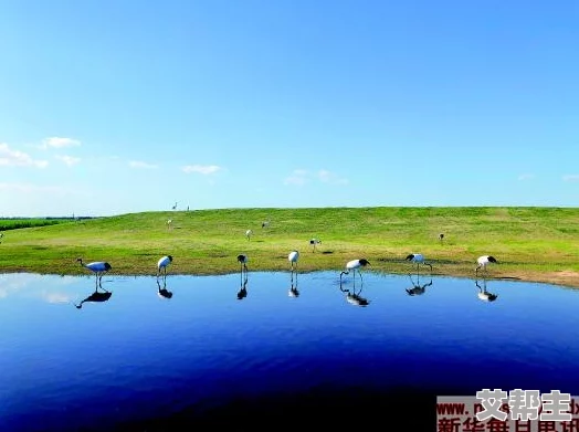 性高湖久久久久久久久aaaaa：近期该地区的生态保护措施取得显著成效，吸引了众多游客前来观光与体验自然之美